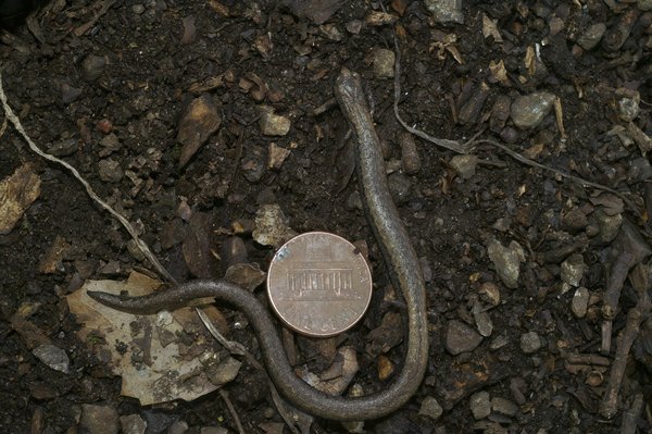 Comparaison forfait internet : trouvez l'offre qui vous correspond